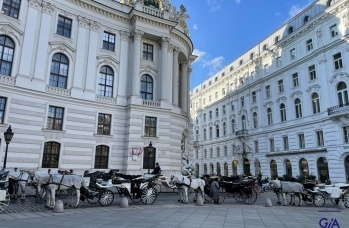 Spotkanie Grupy GIA w Wiedniu!